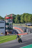 Lower Group Yellow Bikes